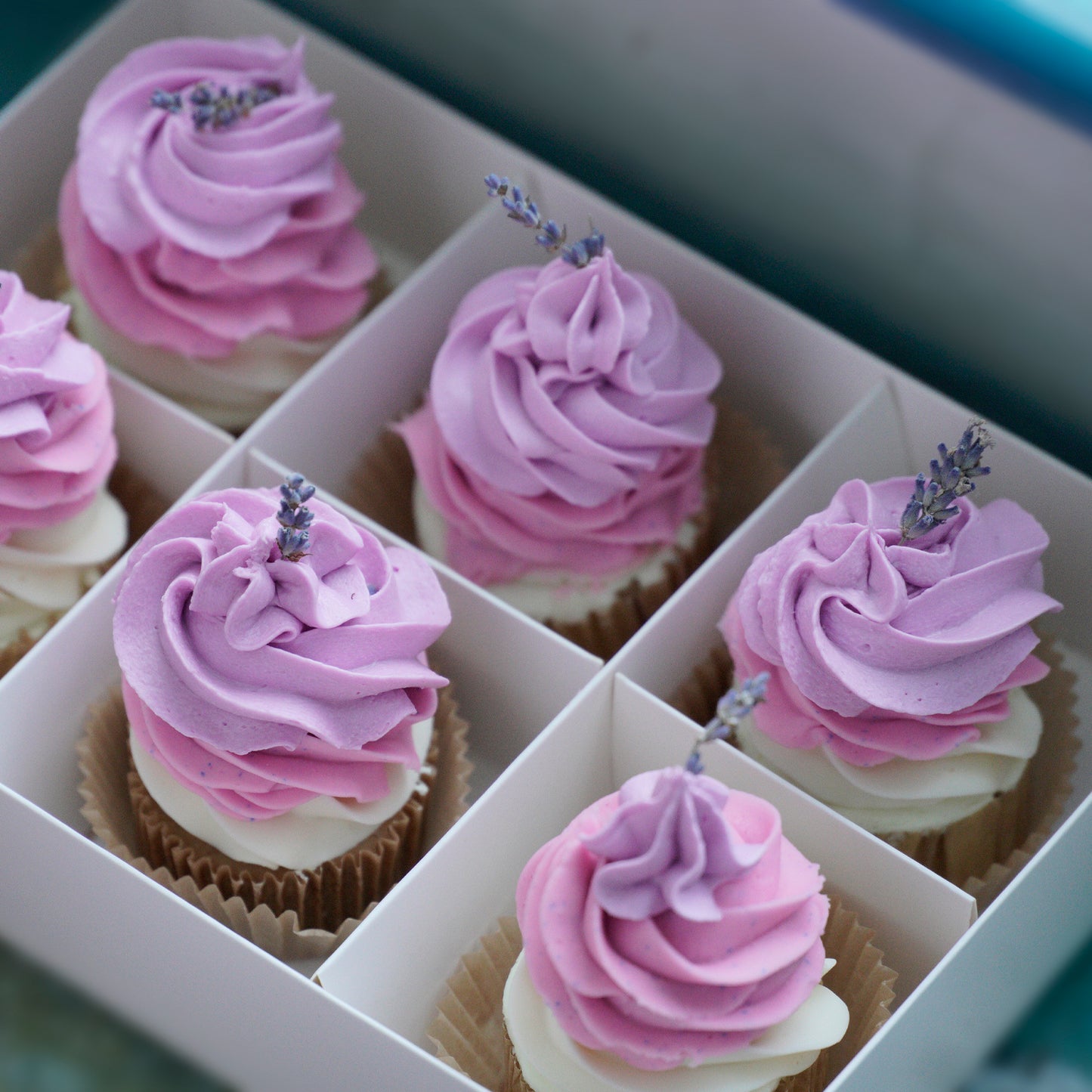 Cold Process Cupcake Soap ~ 90g